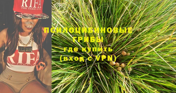 дмт Дмитриев