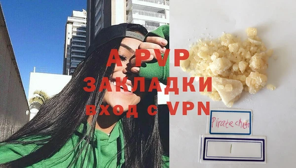 дмт Дмитриев