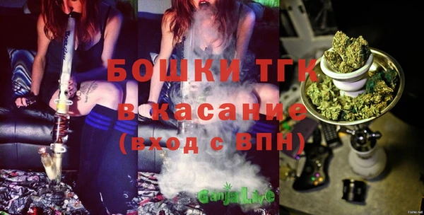 дмт Дмитриев