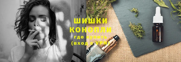 дмт Дмитриев